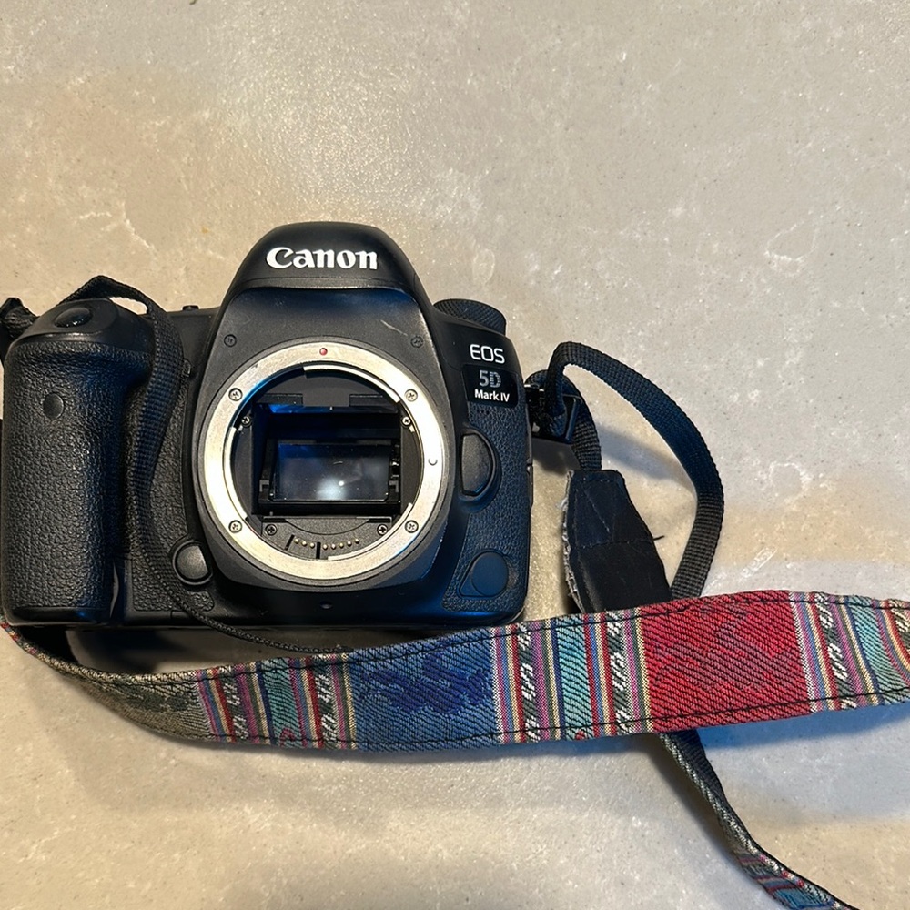 Canon Black Digital Camera with Professional Design